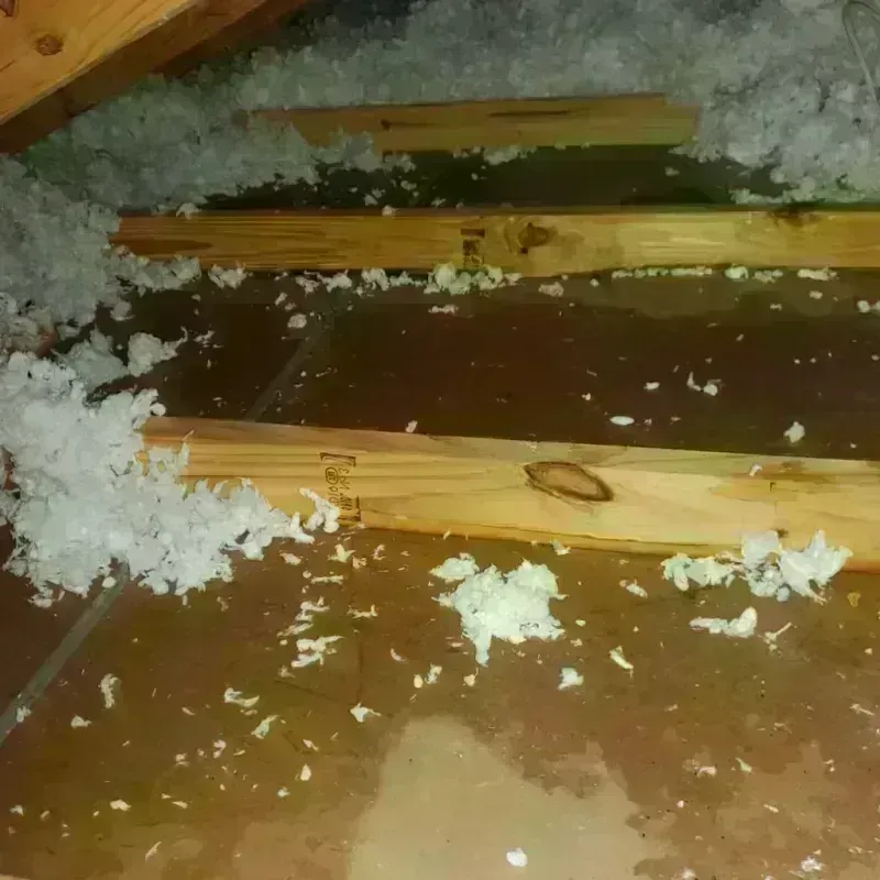 Attic Water Damage in Edgerton, KS